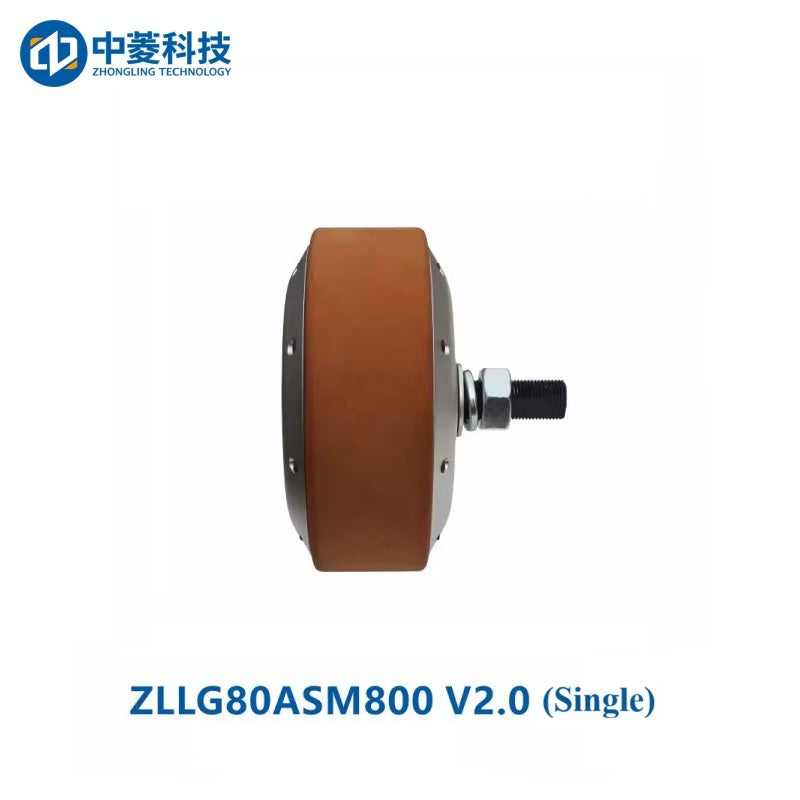 ZHONGLING ZLLG80-ASM800 Motor