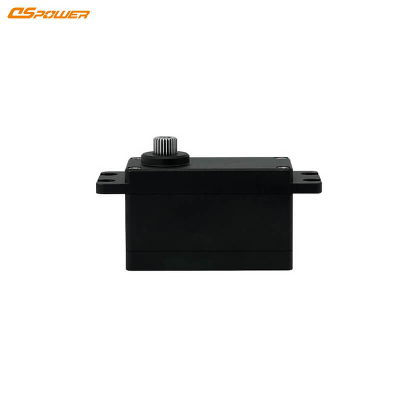 DSpower DS-W004A Servo Motor