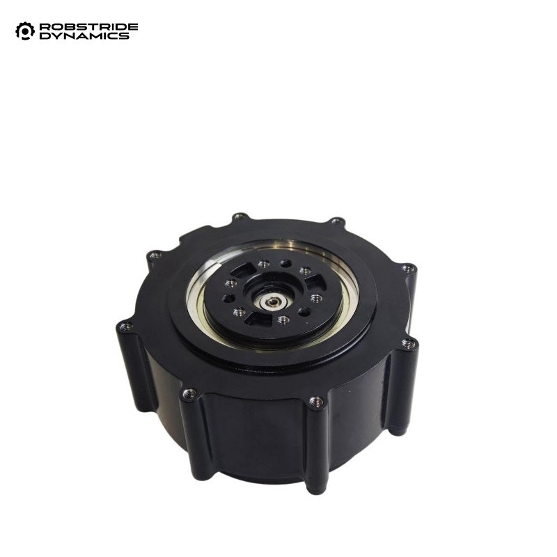 ROBSTRIDE 03 Motor