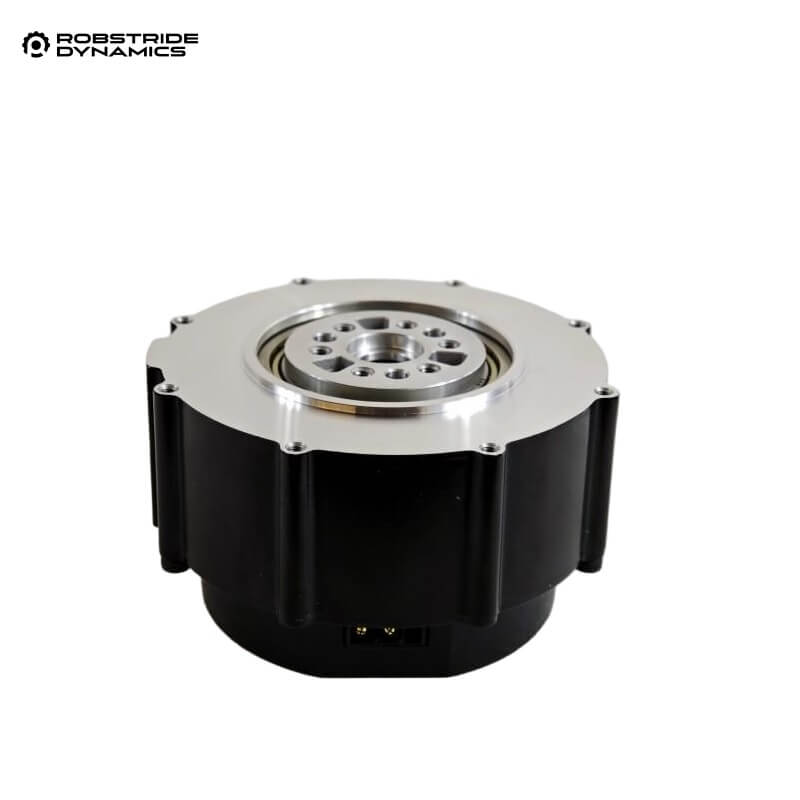ROBSTRIDE 06 Motor