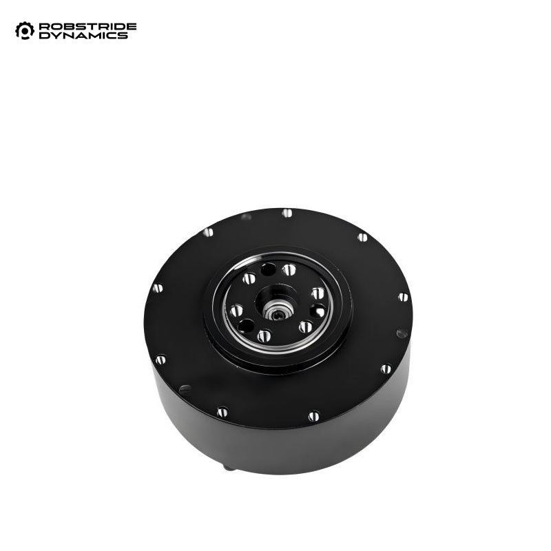 ROBSTRIDE 01 Motor