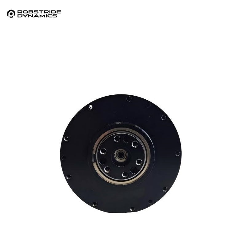 ROBSTRIDE 01 Motor