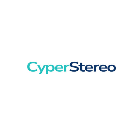 CyperStereo Camera