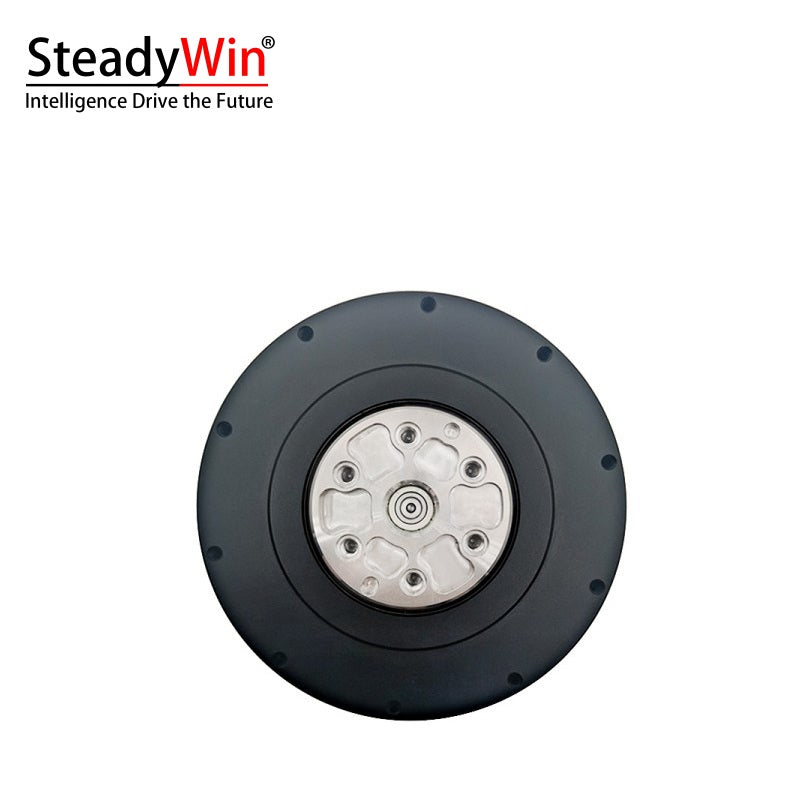 SteadyWin GIM10015-9 Planetary Reducer Motor