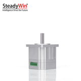 SteadyWin 5715AIO Servo Motor