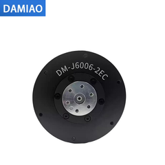DAMIAO DM-J6006-2EC Motor