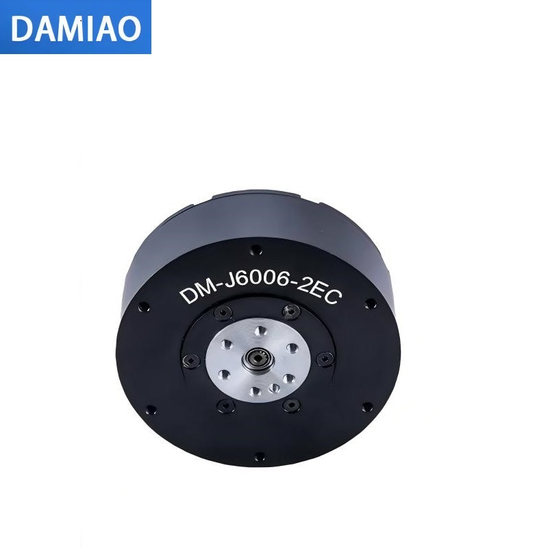 DAMIAO DM-J6006-2EC Motor