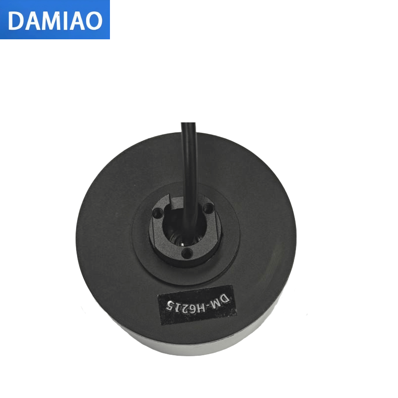 DAMIAO DM-H6215 Motor
