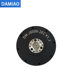 DAMIAO DM-J8006-2EC V1.1 Motor