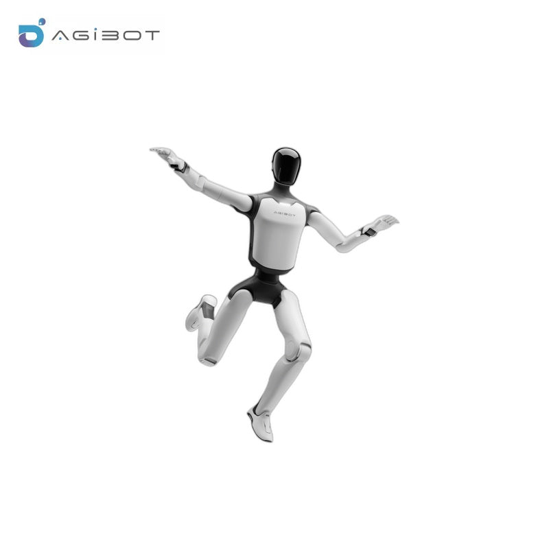AGIBOT A3 Robot