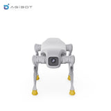 AGIBOT D1 Pro/Edu Robot