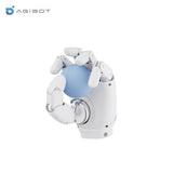 AGIBOT OmniHand 2025