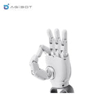 AGIBOT OmniHand 2025