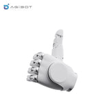 AGIBOT OmniHand 2025