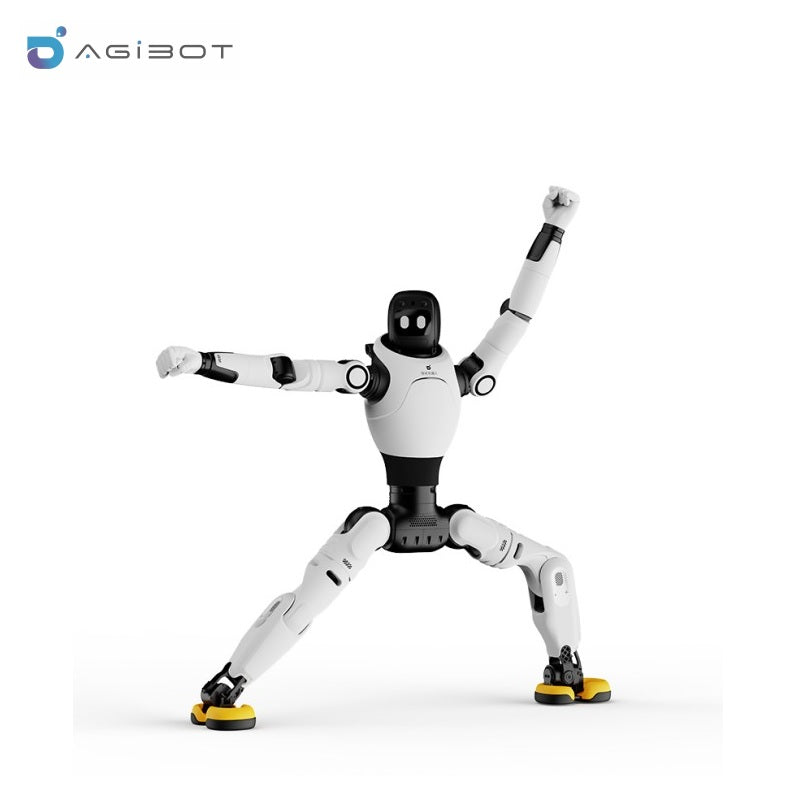 AGIBOT X2 Series Robot