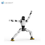 AGIBOT X2 Series Robot