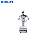 BLINX X1 Humanoid Robot