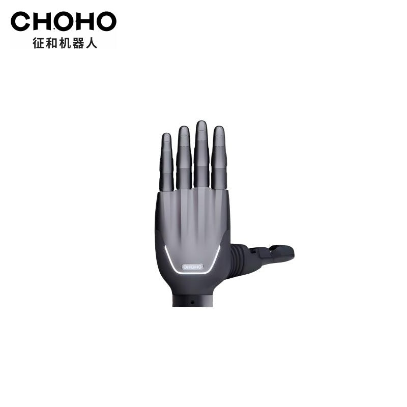CHOHO Hand