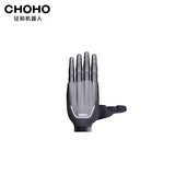 CHOHO Hand