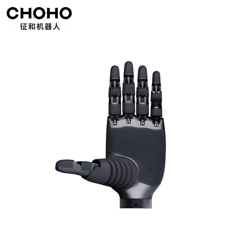 CHOHO Hand