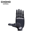 CHOHO Hand