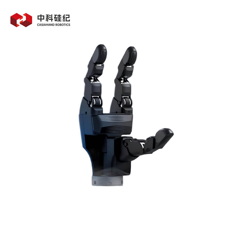CASIA HAND G