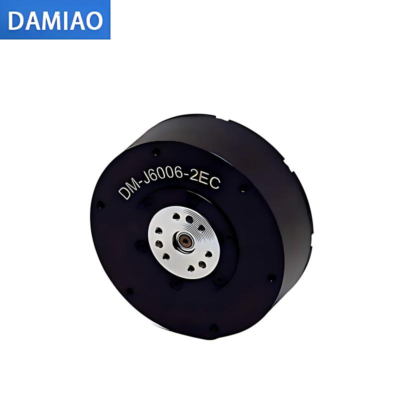 DAMIAO DM-J6006-2EC Motor