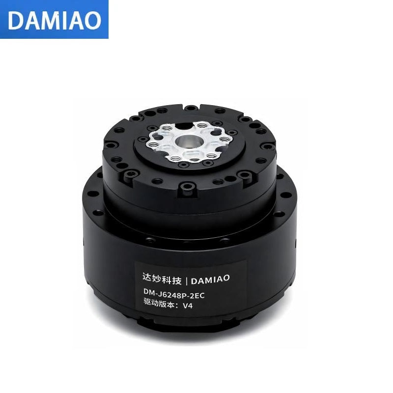 DAMIAO DM-J6248P-2EC Motor