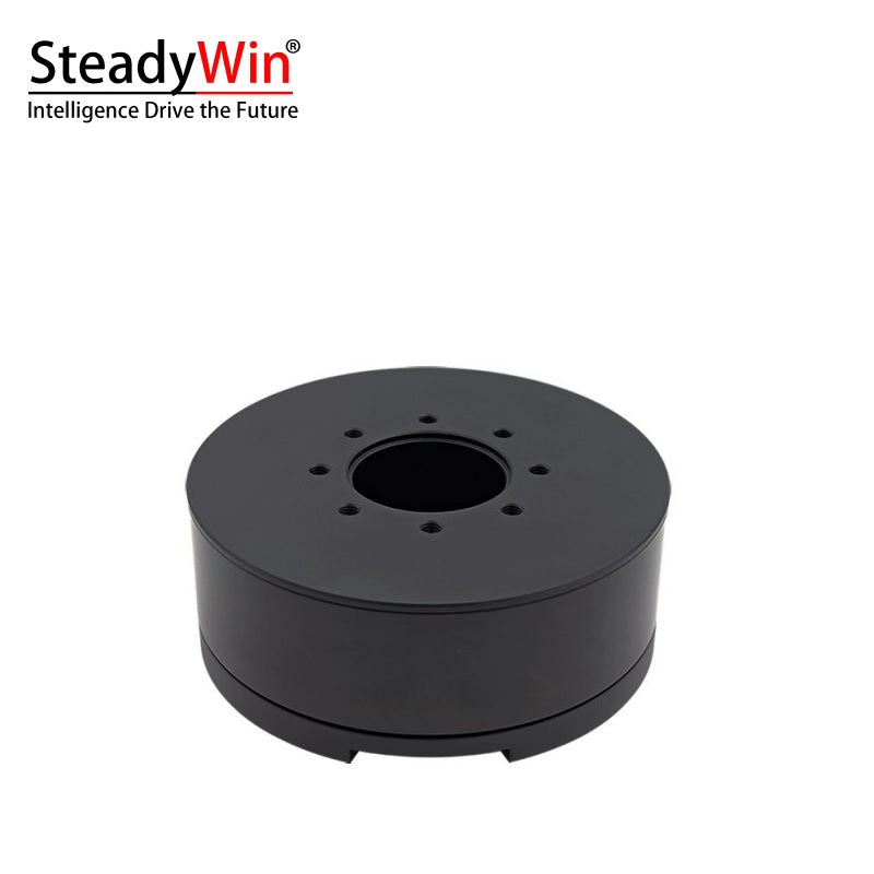 SteadyWin DD11025 Motor