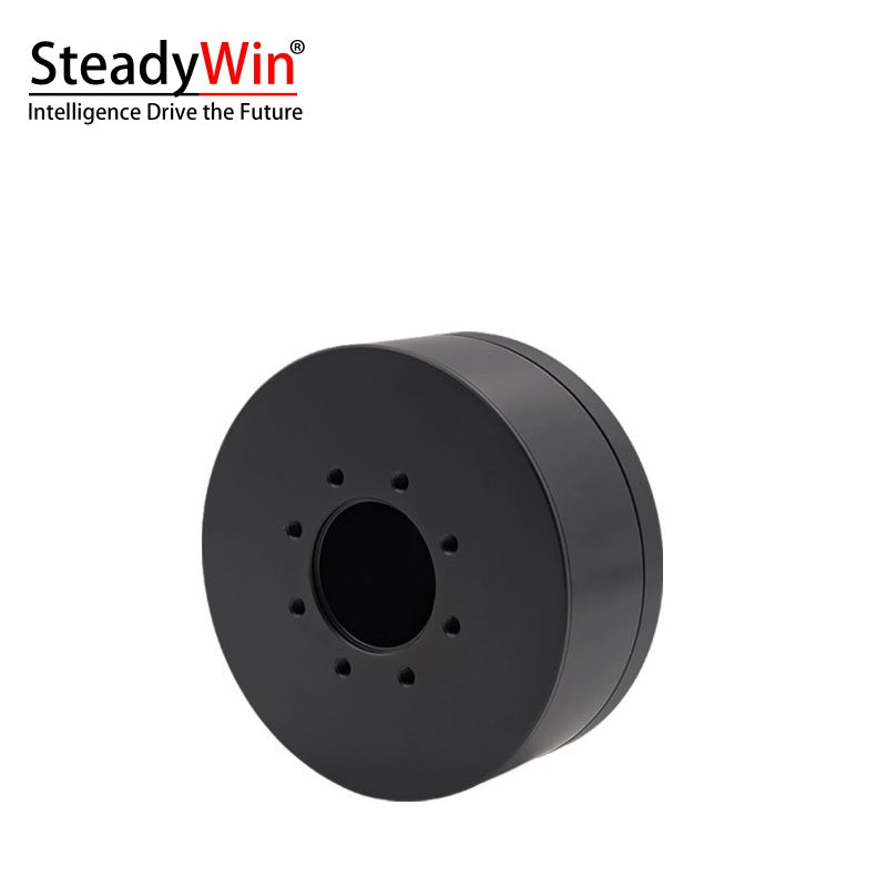 SteadyWin DD11025 Motor