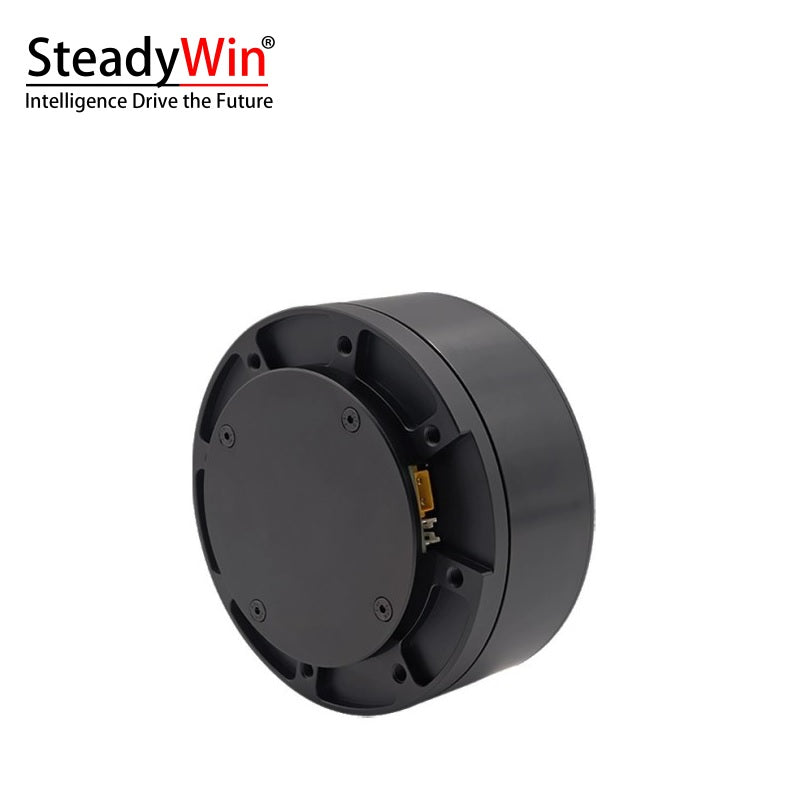 SteadyWin DD11025 Motor