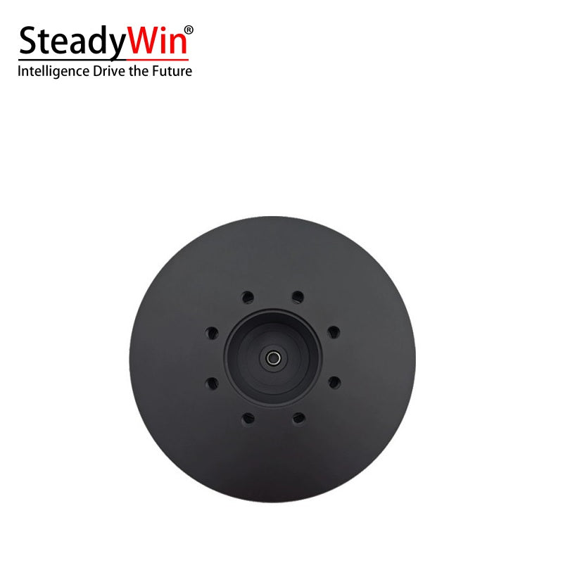 SteadyWin DD11025 Motor
