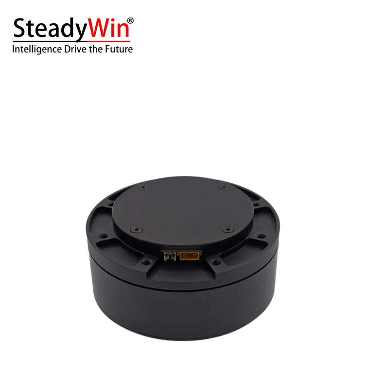 SteadyWin DD11025 Motor