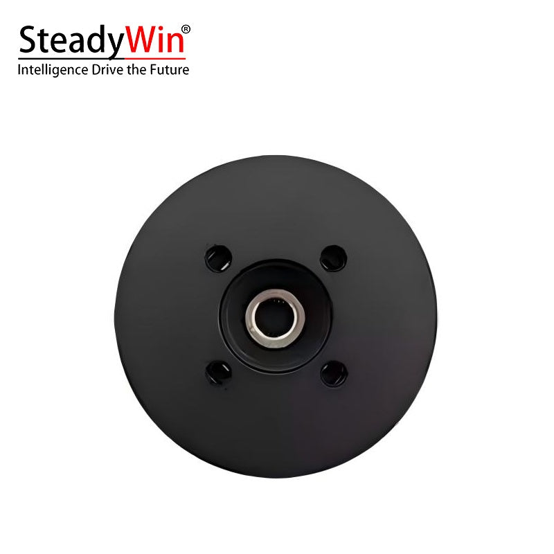 SteadyWin DD3006 Motor
