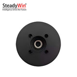 SteadyWin DD3006 Motor