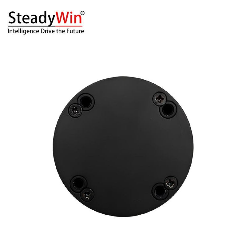 SteadyWin DD4006 Motor