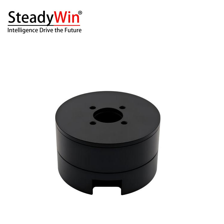 SteadyWin DD5010 Motor
