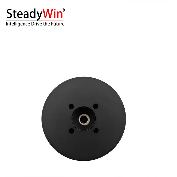 SteadyWin DD5010 Motor