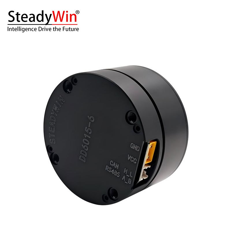 SteadyWin DD6015 Motor