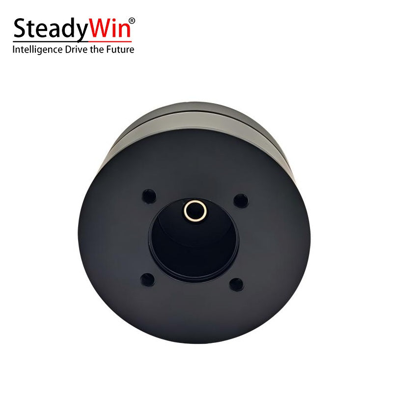 SteadyWin DD6015 Motor