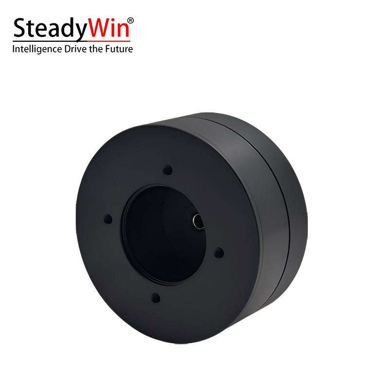 SteadyWin DD8015 Motor