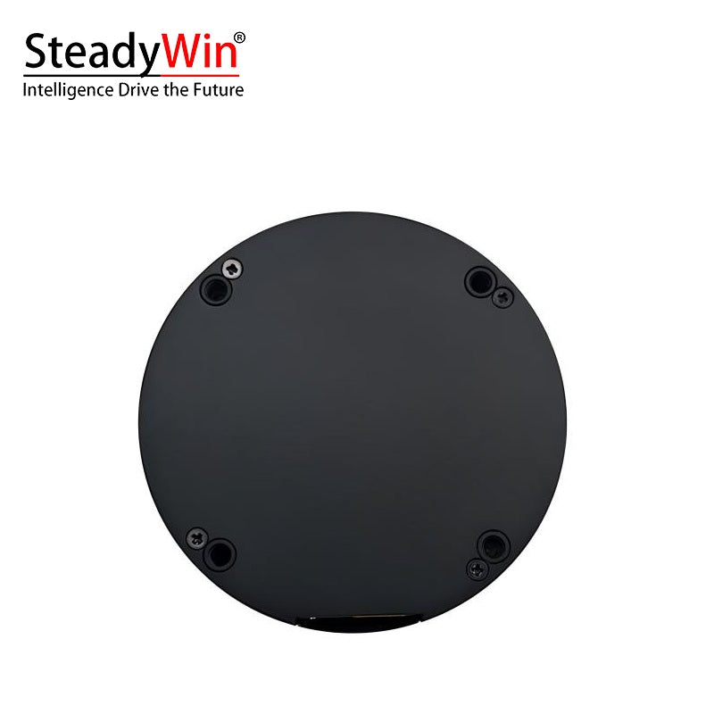 SteadyWin DD8015 Motor