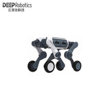 DEEP Robotics LYNX M20 Robot
