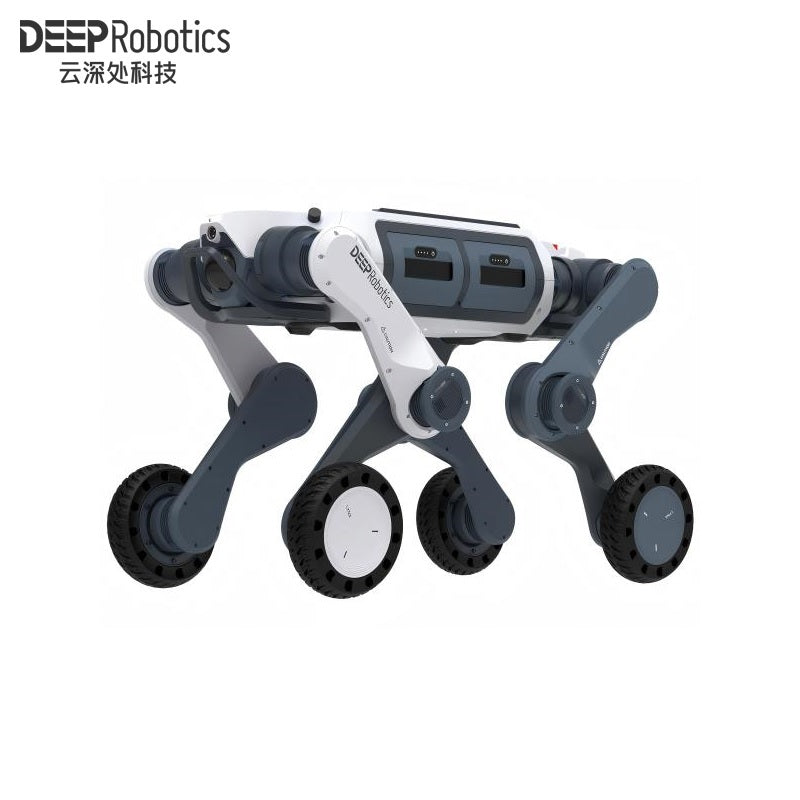 DEEP Robotics LYNX M20 Robot