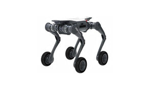 DEEP Robotics LYNX Robot