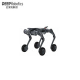 DEEP Robotics LYNX Robot