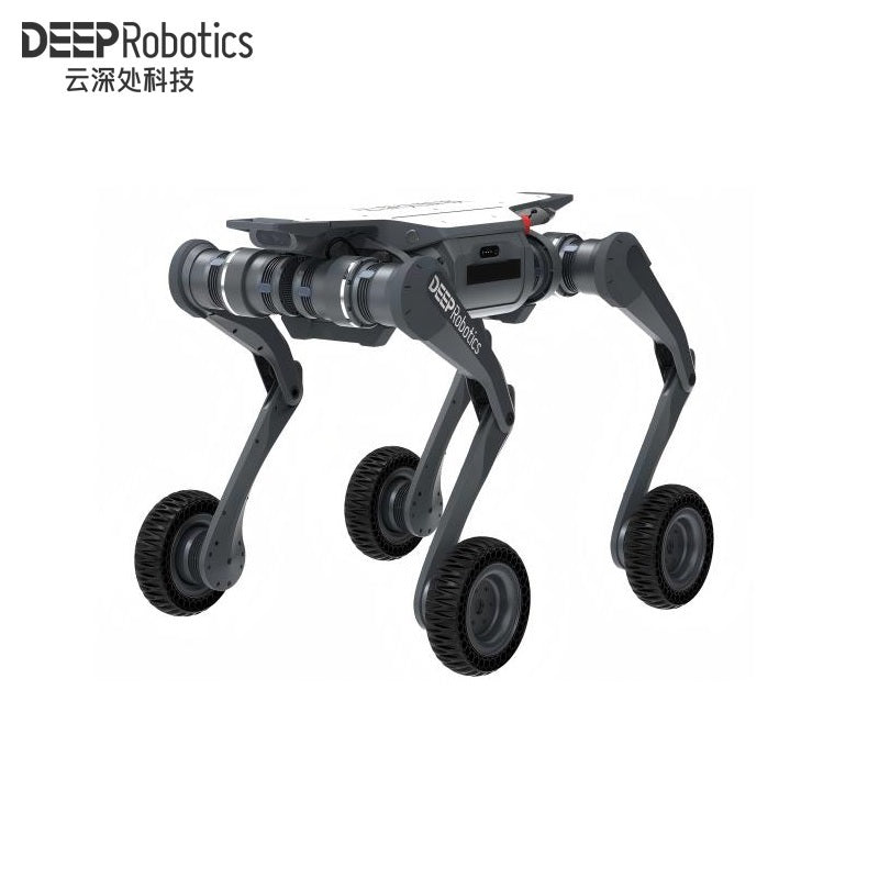 DEEP Robotics LYNX Robot