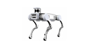 DEEP Robotics X20 Robot