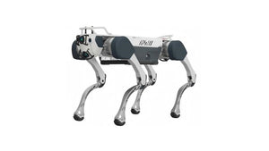 DEEP Robotics X30 Robot