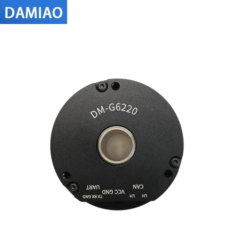 DAMIAO DM-G6220 Motor